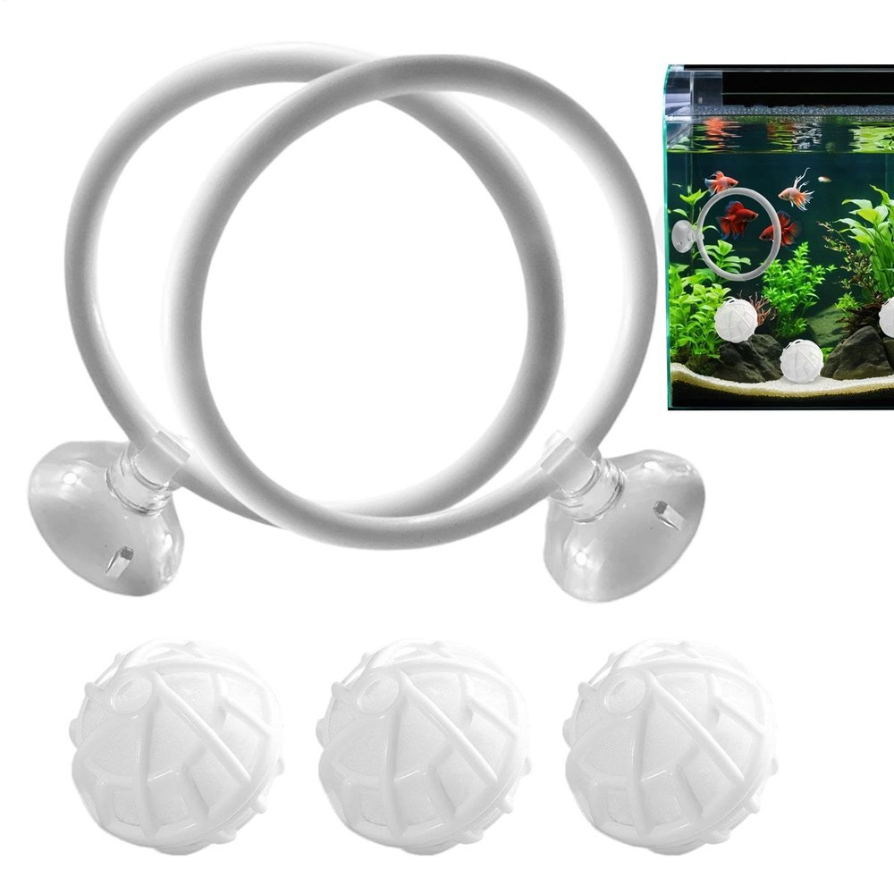 Betta Fish Training Ring and Filter Ball