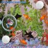 Betta Fish Training Ring and Filter Ball view 2