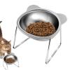 Tilted Elevated Cat Bowl, 15° Tilt, Medium view 1