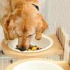 Anti-Spill Bear Head Dog Crate Water Bowl view 3
