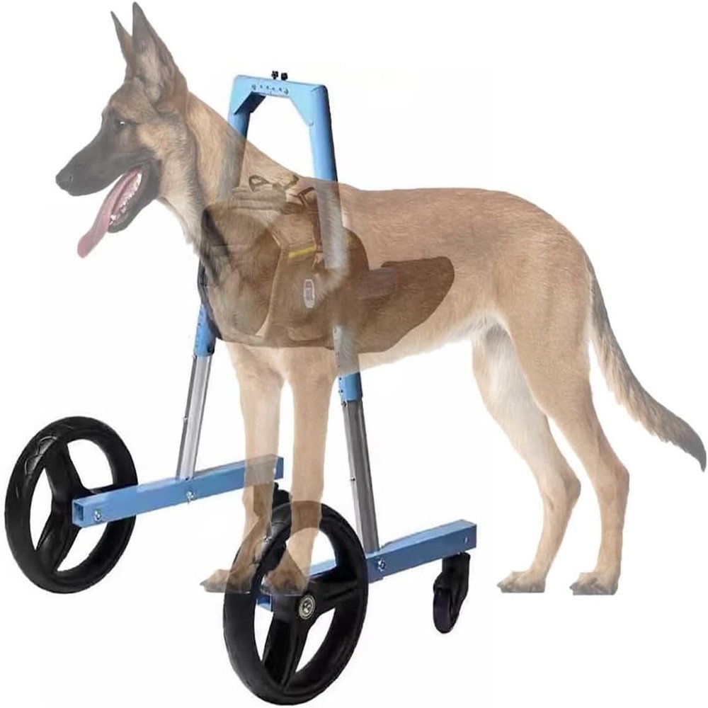 Dog Wheelchair for Hind Legs, Small to Large Dogs, Front-Leg Support, Pet Mobility Cart, 11–50