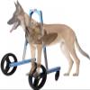 Dog Wheelchair for Hind Legs, Small to Large Dogs, Front-Leg Support, Pet Mobility Cart, 11–50 view 1