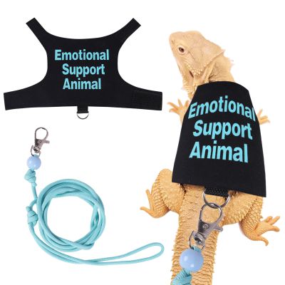 Fnaobai Adjustable Harness and Leash for Reptiles
