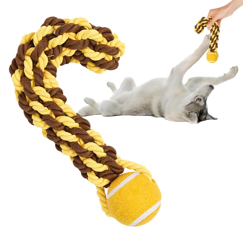 Dog Toy with Rope and Ball