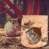 Natural Wooden Hamster Tunnel view 3