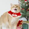 Knitted Dog Collar, Year of the Snake 2025, Cat view 2