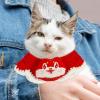 Knitted Dog Collar, Year of the Snake 2025, Cat view 3