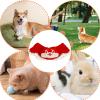 Knitted Dog Collar, Year of the Snake 2025, Cat view 4