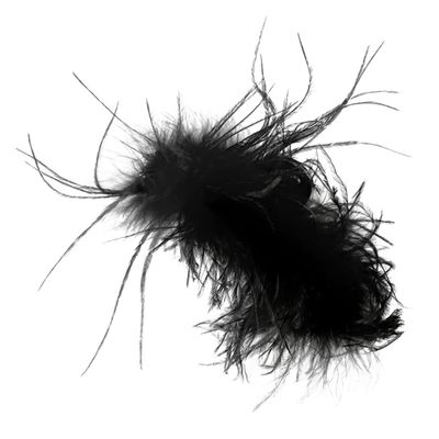 Elegant Black Hair Clip with Feather Tuft and Strong Hold for Women