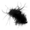 Elegant Black Hair Clip with Feather Tuft and Strong Hold for Women view 1