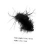 Elegant Black Hair Clip with Feather Tuft and Strong Hold for Women view 2