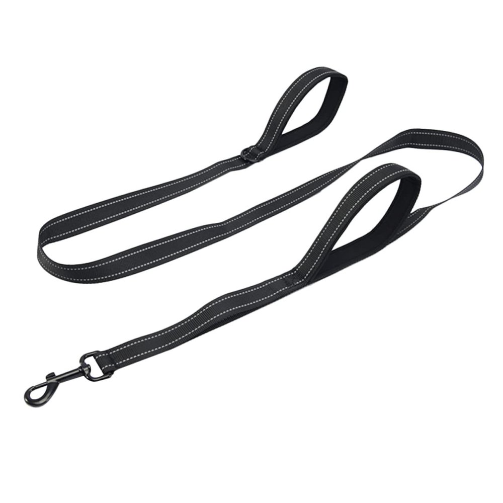 Toddmomy Double-Layer Reflective Nylon Dog Leash for Medium and Large Dogs