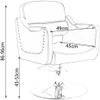 Hydraulic Barber Chair for Salon and Home, Swivel, 190 kg Capacity, Gray view 2