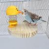 Adsfvs Bird Toy, Bird Training Toy for Cage view 2