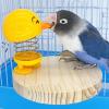 Adsfvs Bird Toy, Bird Training Toy for Cage view 3