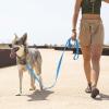 Uqezagpa Waterproof Dog Leash, 3 - 15 m, for Strong Training, Walking, Swimming view 4