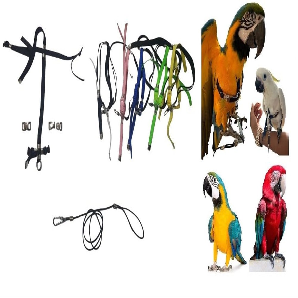 Adjustable Elastic Harness for Parrots, Macaws or Cockatoos, Black
