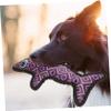 Happyyami Interactive Molar Chew Toy for Dogs view 4