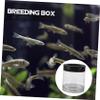Fish Breeding Box with Transparent Cover and Divider Hatch view 4