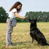 PETCUTE Dog Training Treat Pouch with Waste Bag Dispenser view 2