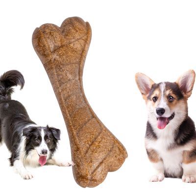 Durable Dog Bone for Aggressive Chewers