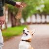 Durable Dog Bone for Aggressive Chewers view 3
