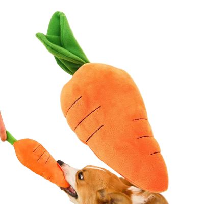 Carrot Dog Puzzle Toy