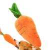 Carrot Dog Puzzle Toy view 1