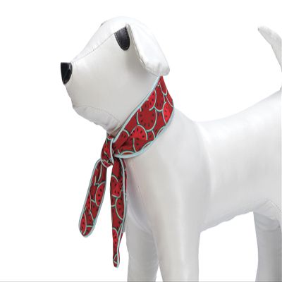 Beeztees Quick Cooler Meloenie Dog Collar, Red, S