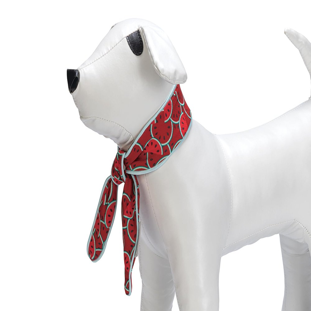 Beeztees Quick Cooler Meloenie Dog Collar, Red, S