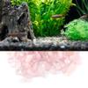Crushed Crystal Stone Set - Rose Quartz view 3