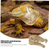 YARNOW Resin Terrarium for Reptiles and Fish view 3
