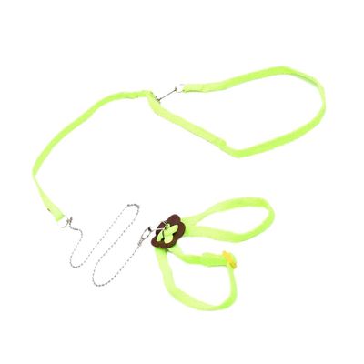 Adjustable Reptile Lizard Harness & Leash, Aqua
