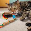 Catnip Toy for House Cats view 2