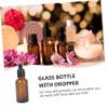 Gogogmee 30 ml Refillable Dropper Bottle Set view 2