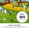Acunny 50 Pcs Poultry Band, Spiral Ring Bird Leg Bands view 4