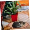 HYTROVE Cooling Mat for Cats and Dogs, Breathable Straw Mat view 4