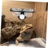 Plastic Reptile Bowl for Geckos and Lizards with Suction Cup view 3