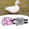 Diapers for Chickens, Ducks and Geese – Eco-Friendly Chicken Poop Liners and Cleaning Accessories (M #18) view 2
