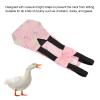 Comfortable Pet Chicken Diapers | Chicken Poop Bags | Duck & Goose Diapers (M) view 4