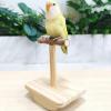 Bird Swing Toy for Parrots view 2