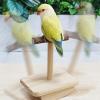 Bird Swing Toy for Parrots view 3