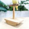 Bird Swing Toy for Parrots view 4