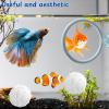 Betta Fish Training Ring with Suction Cup view 2