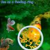 Betta Fish Training Ring with Suction Cup view 3