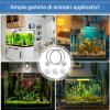 Betta Fish Training Ring with Suction Cup view 4