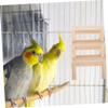HYTROVE Parrot Climbing Ladder view 4