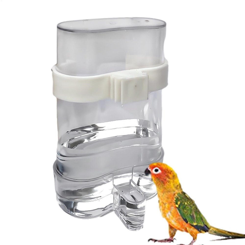Automatic Bird Water Dispenser
