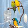 Automatic Bird Water Dispenser view 2