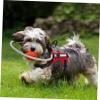 Sosoport Blind Dog Safety Device view 4